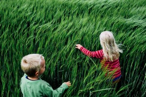 Europe, Denmark, Sønder Vissing: On the way back from shopping in the next town, Karina pulls over at the side of the road and starts to play with the kids in the green cornfield. Kristian is more than one year younger than his sister but they are about the same stage of development.